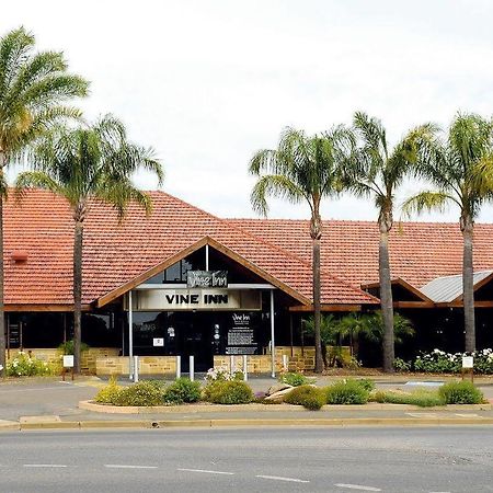 נוריוטפה Vine Inn Barossa מראה חיצוני תמונה